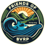 Friends of the Buena Vista River Park